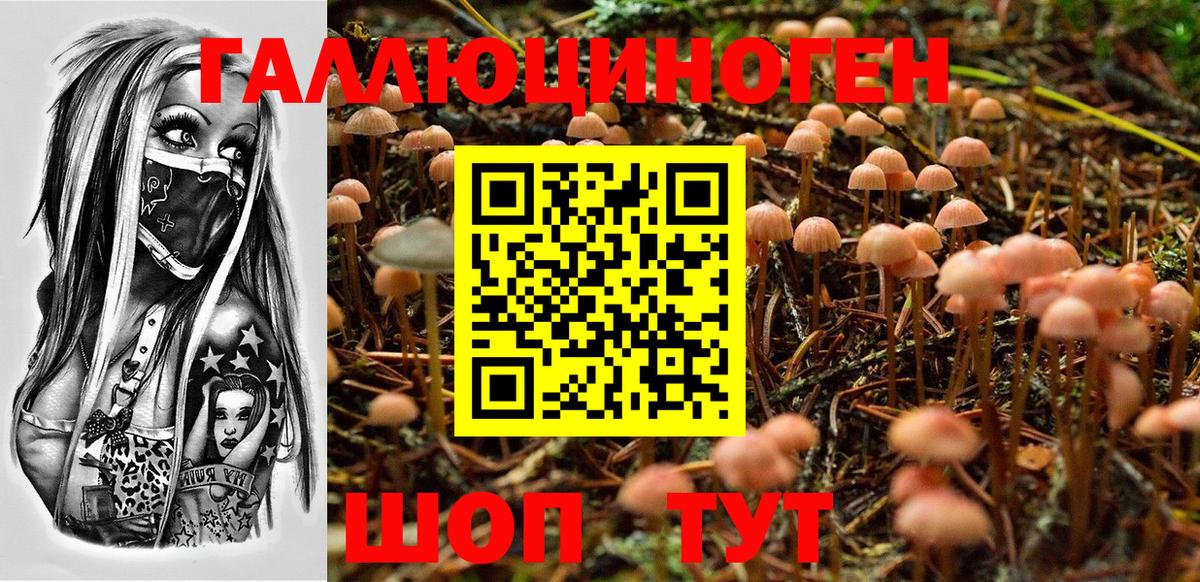 Подольск  Галлюциногенные грибы ЛСД  наркотики  Вход с VPN 