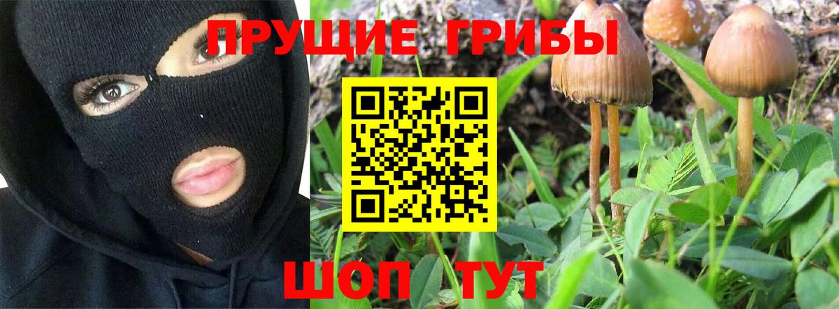 Галлюциногенные грибы Cubensis Подольск